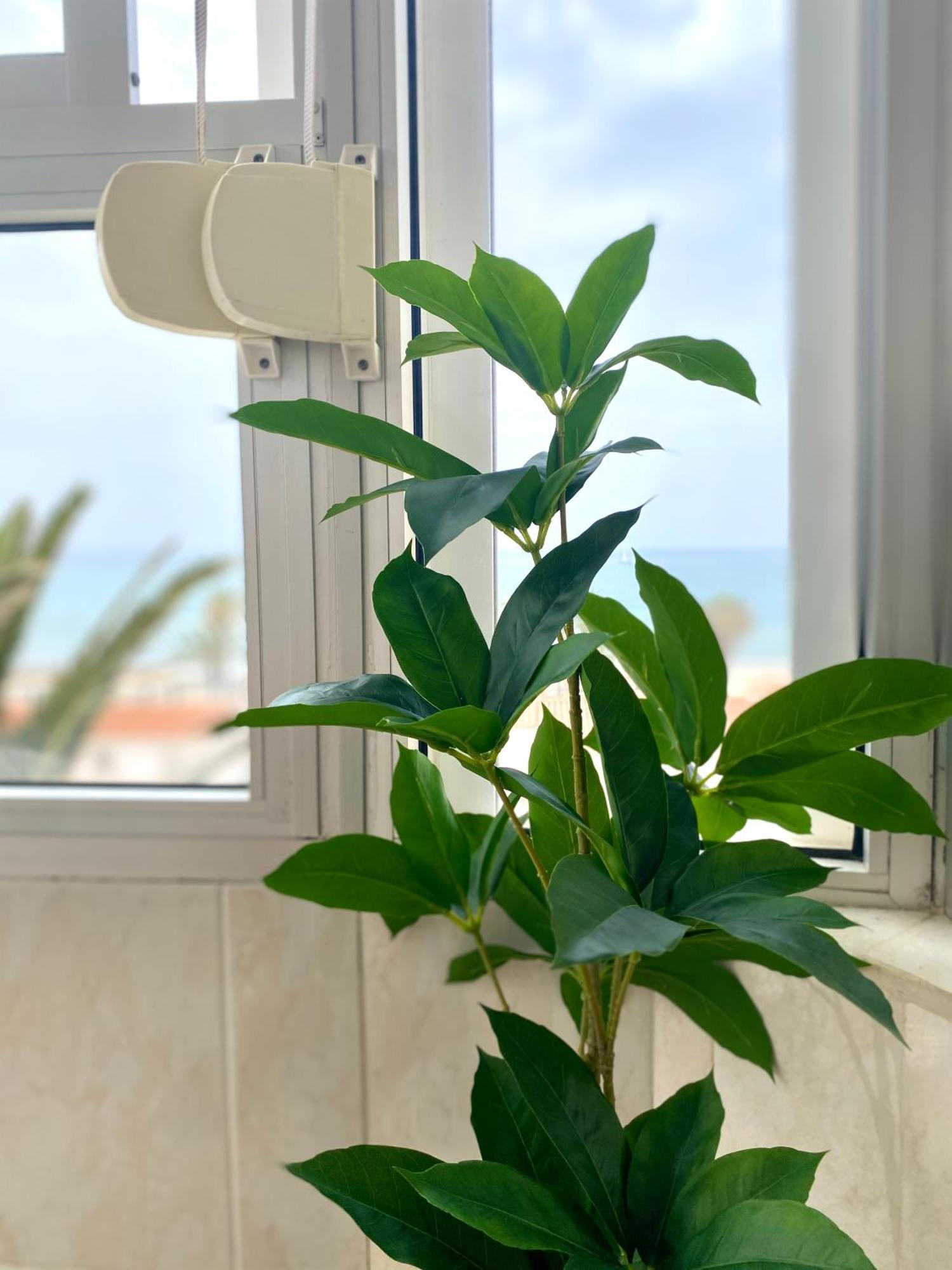 Apartamento Luz Del Mar Torrox Zewnętrze zdjęcie